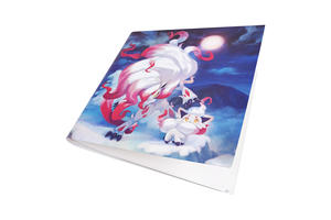 Pokemon_CS5.5周边016.jpg
