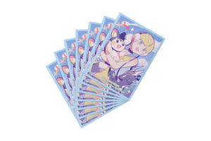 cs6.5supply 06.jpg