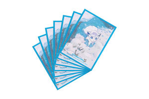 cs6.5supply 05.jpg