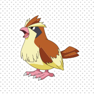 Pidgey