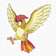 Pidgeotto