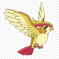 Pidgeot